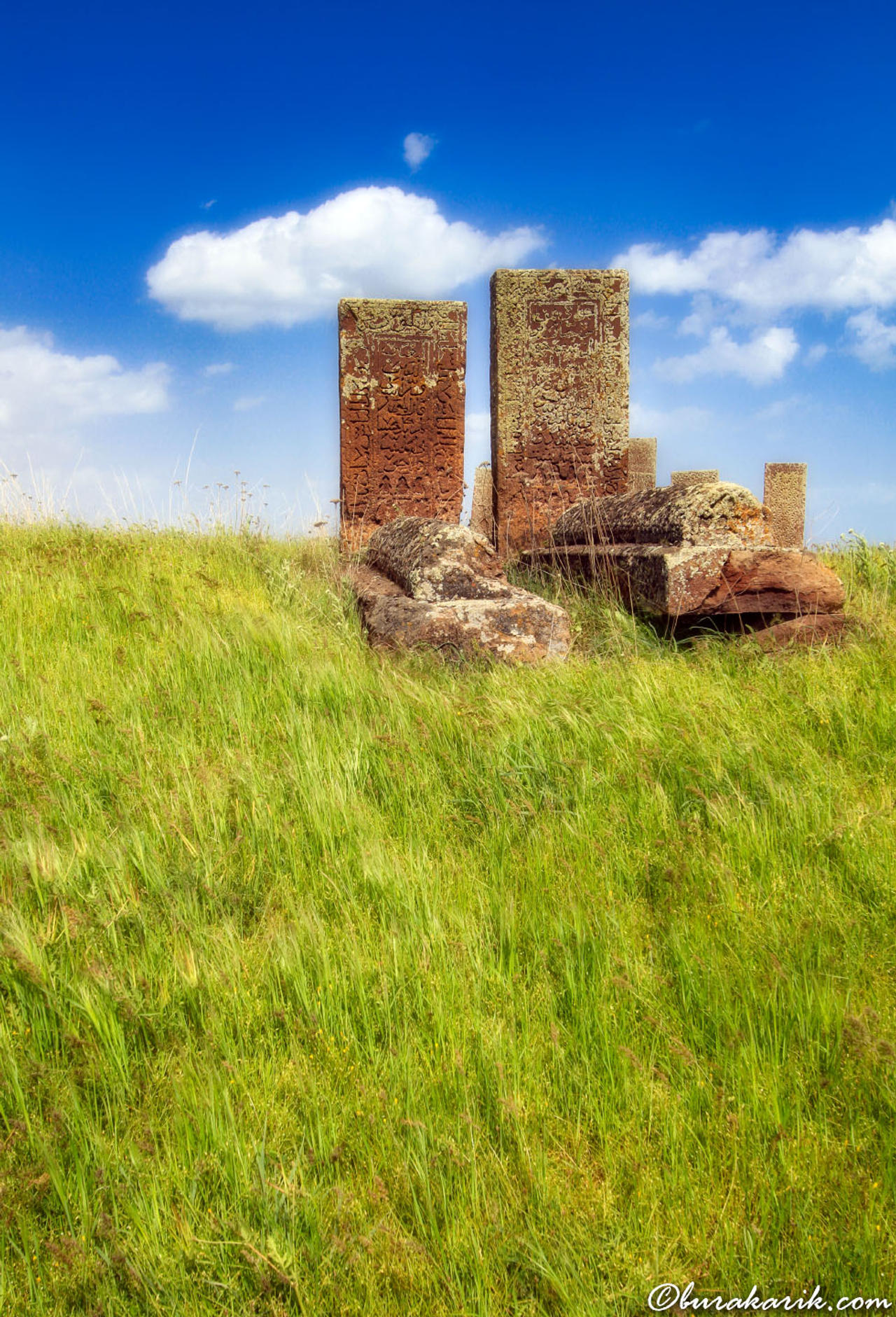 Selçuklu Mezarları, Ahlat