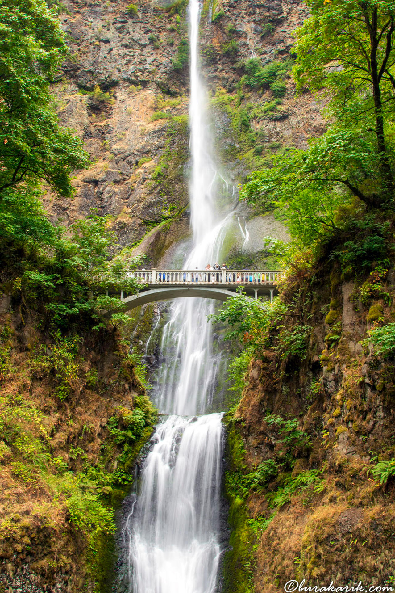 The Multnomah Falls