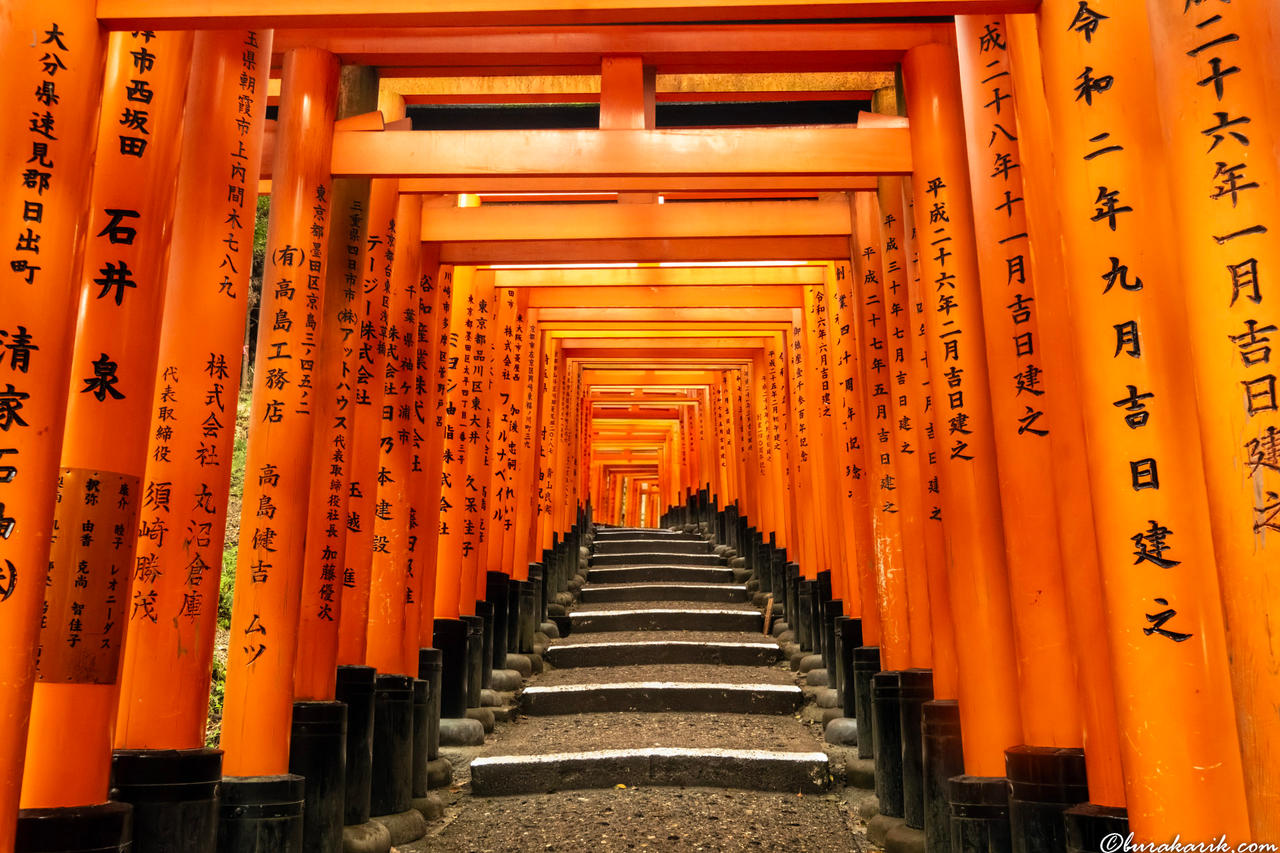Kyoto'daki Torii Kapıları