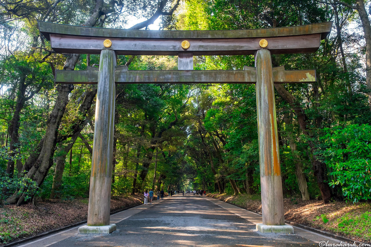 Meiji Mabedi'nde Torii Kapısı