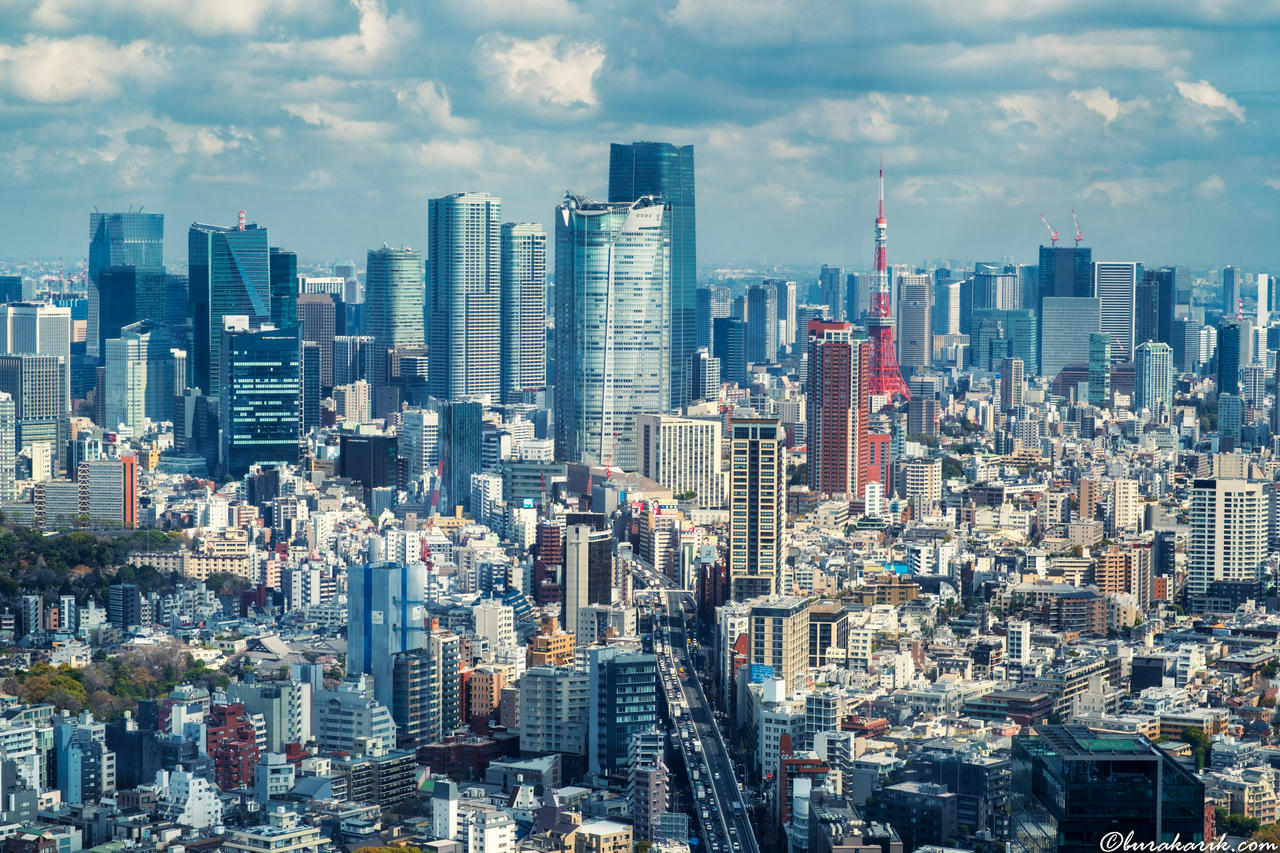 Tokyo Skyline from Shibuya Sky
