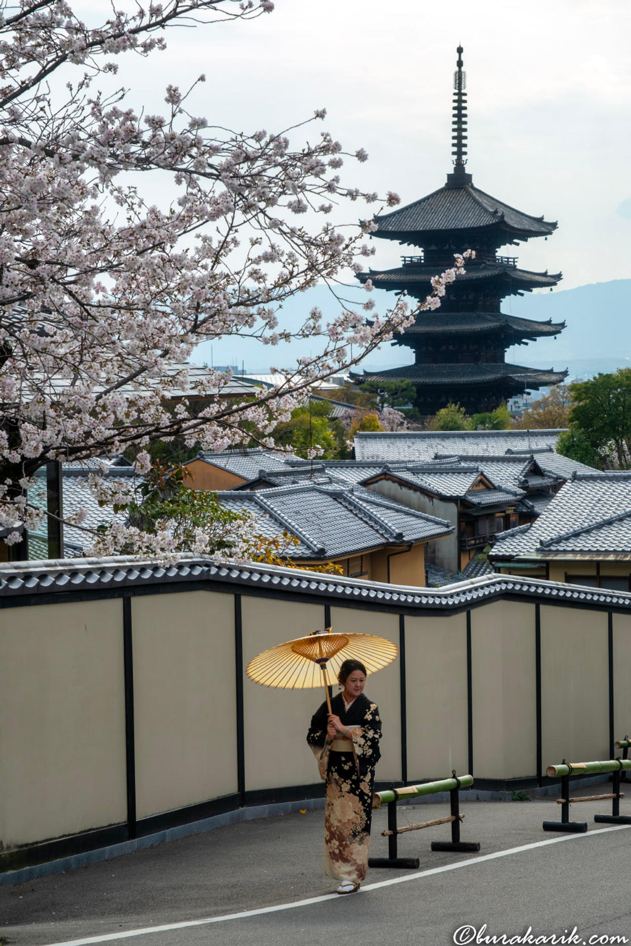 Springtime Stroll in Gion