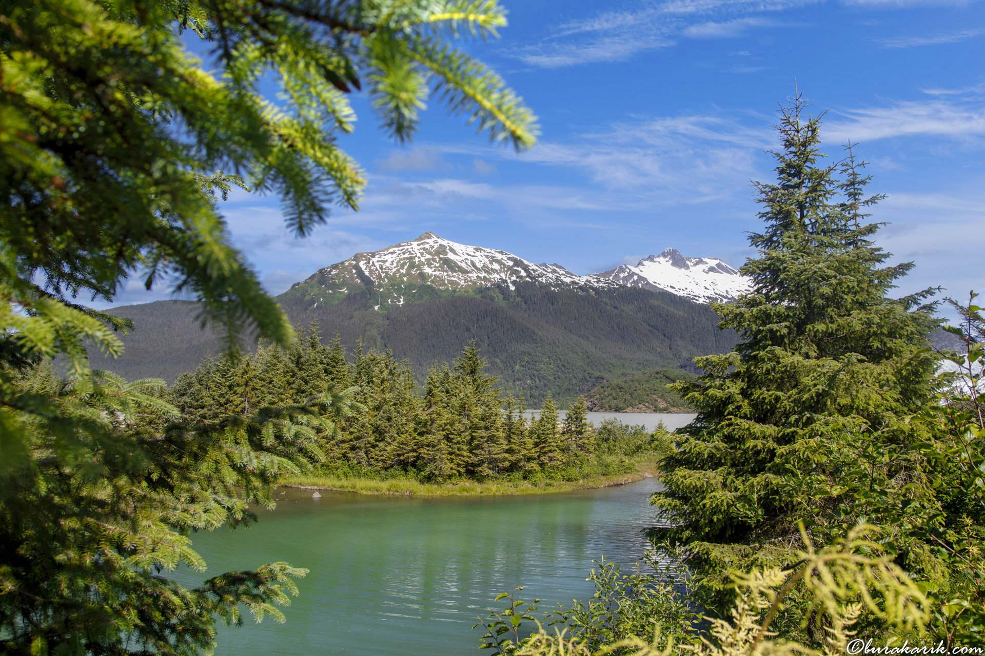 Alaska\'da Doğa