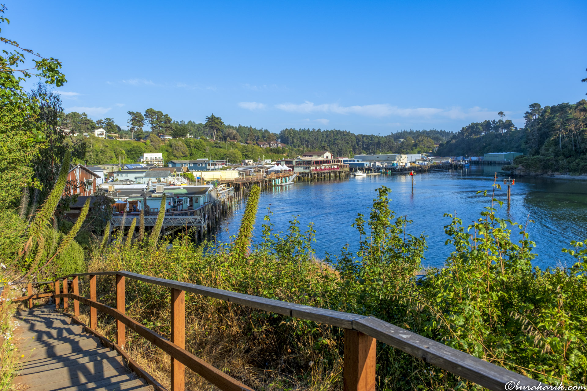 Fort Bragg Noyo Limanı