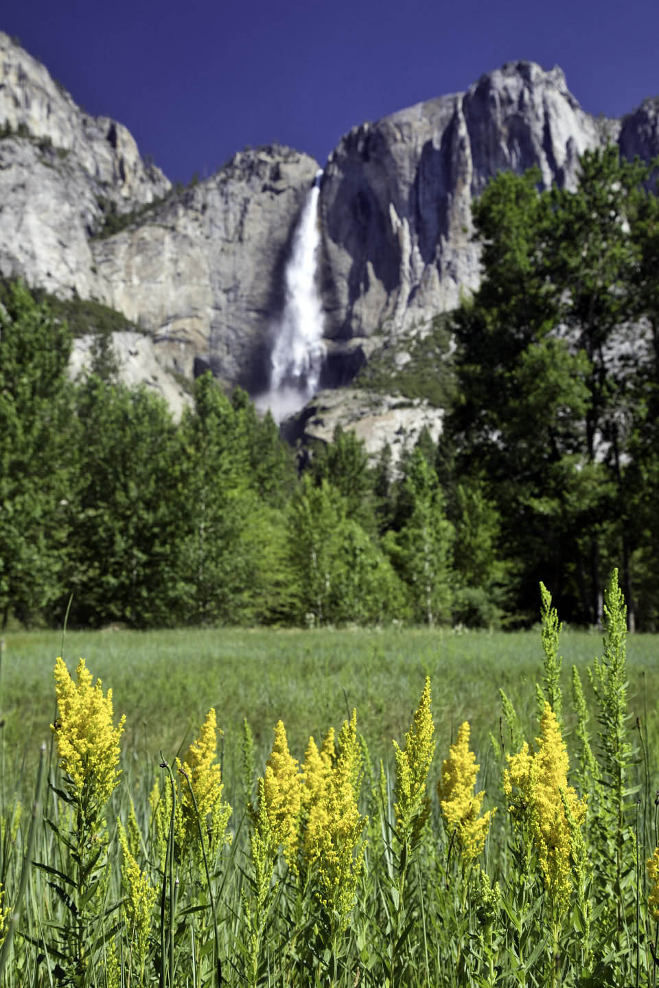 Yosemite'den Renkler