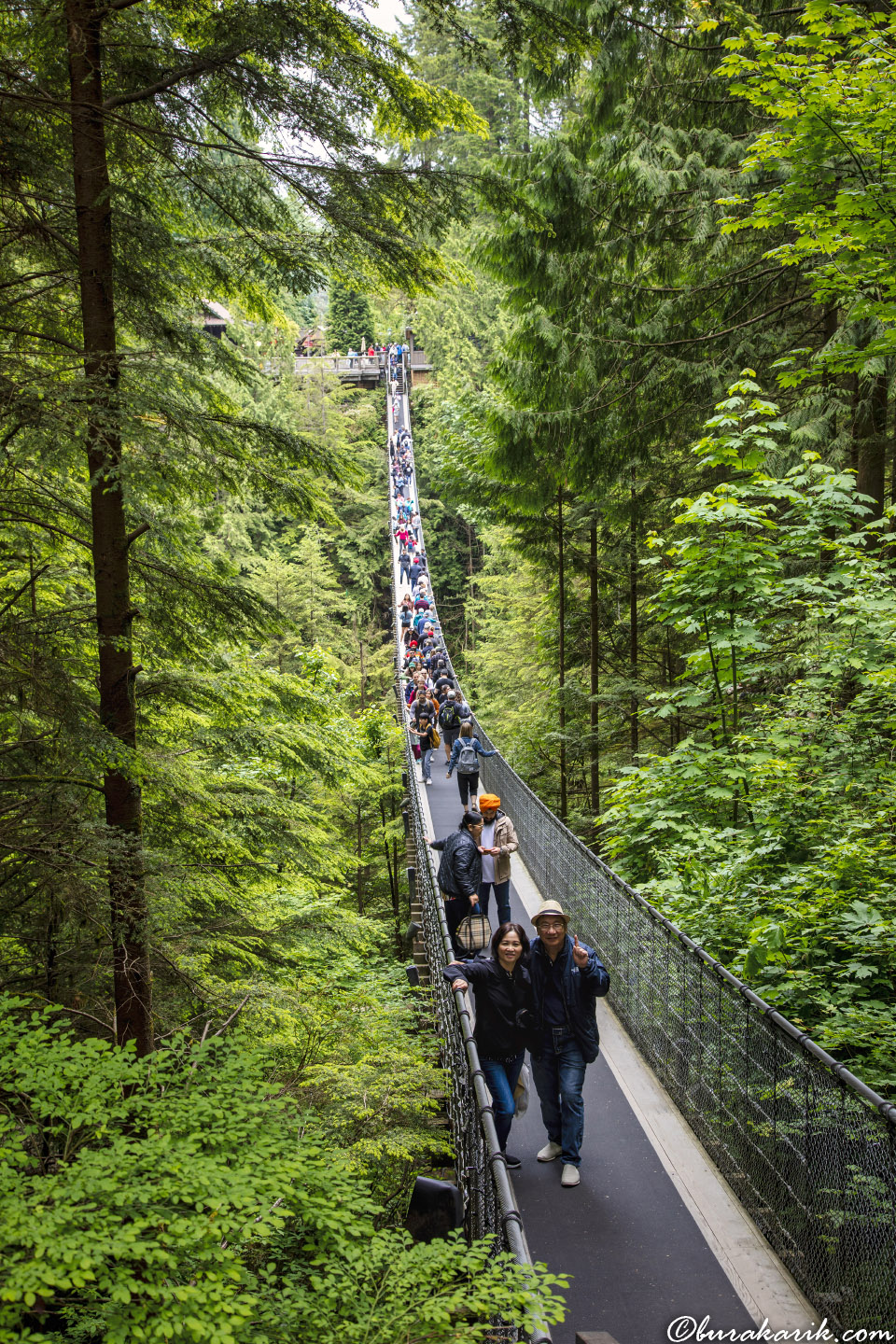 Capilano Suspension Bridge