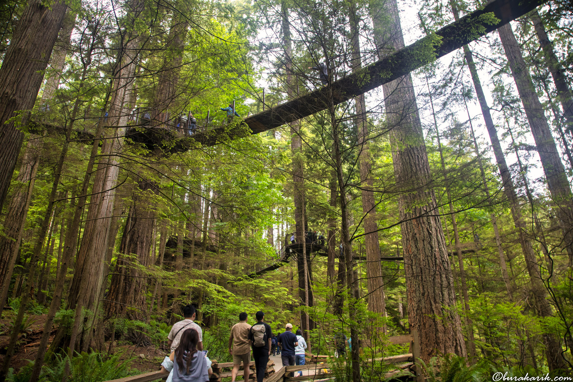 Capilano Asma Köprüsü Parkı