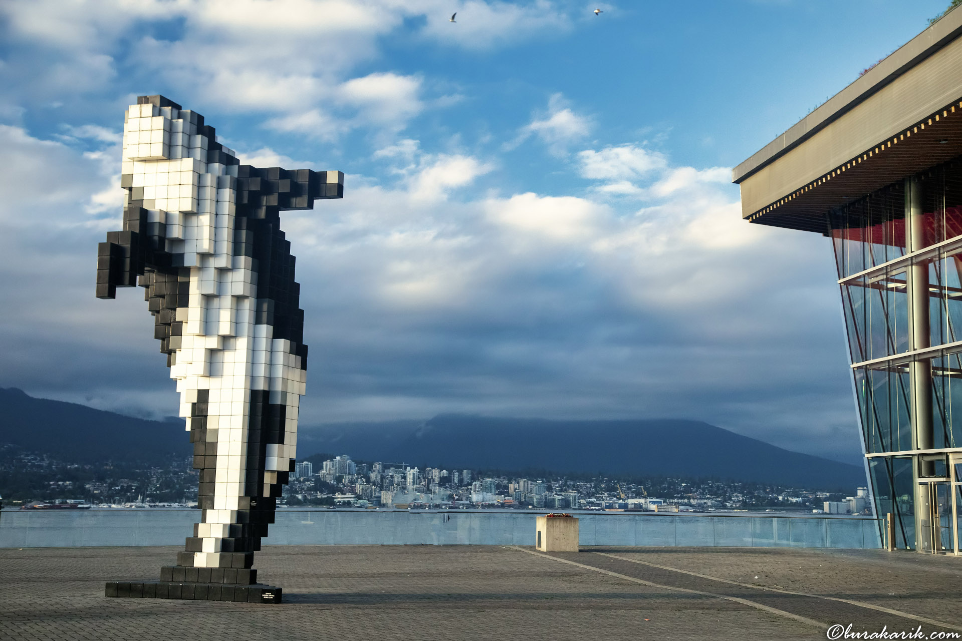 Digital Orca