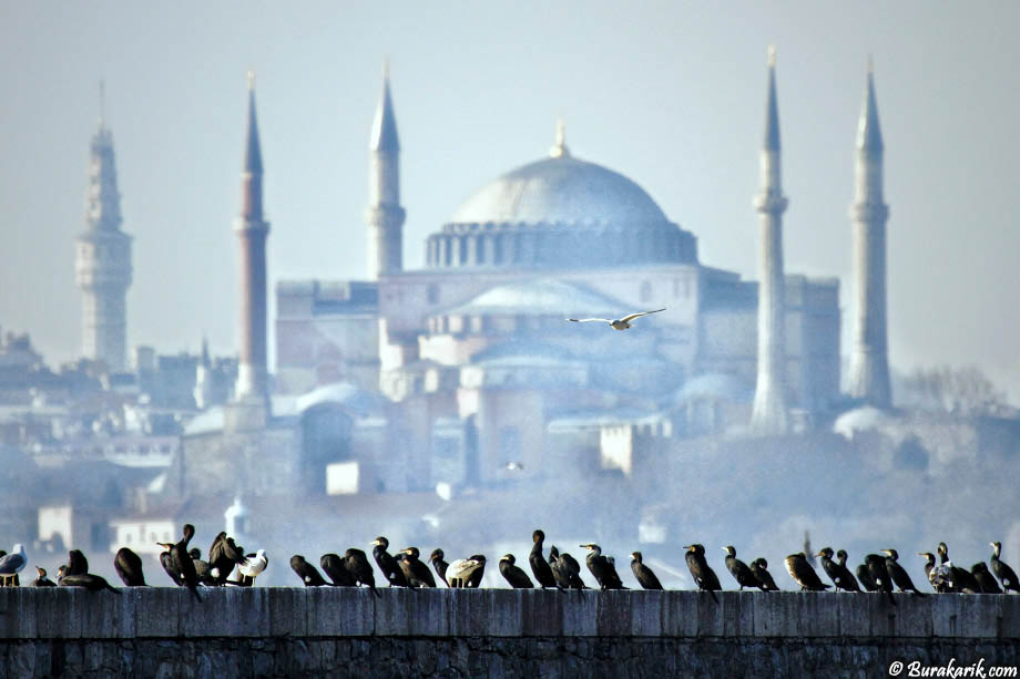 Karabatakların Boğaz Sefası