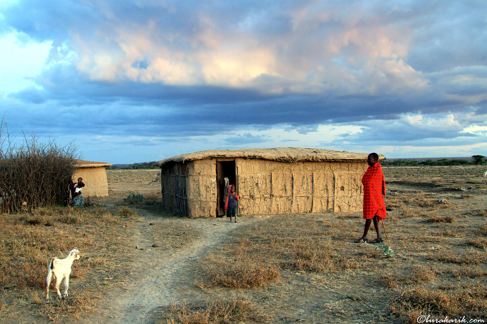 Tipik Bir Maasai Evi