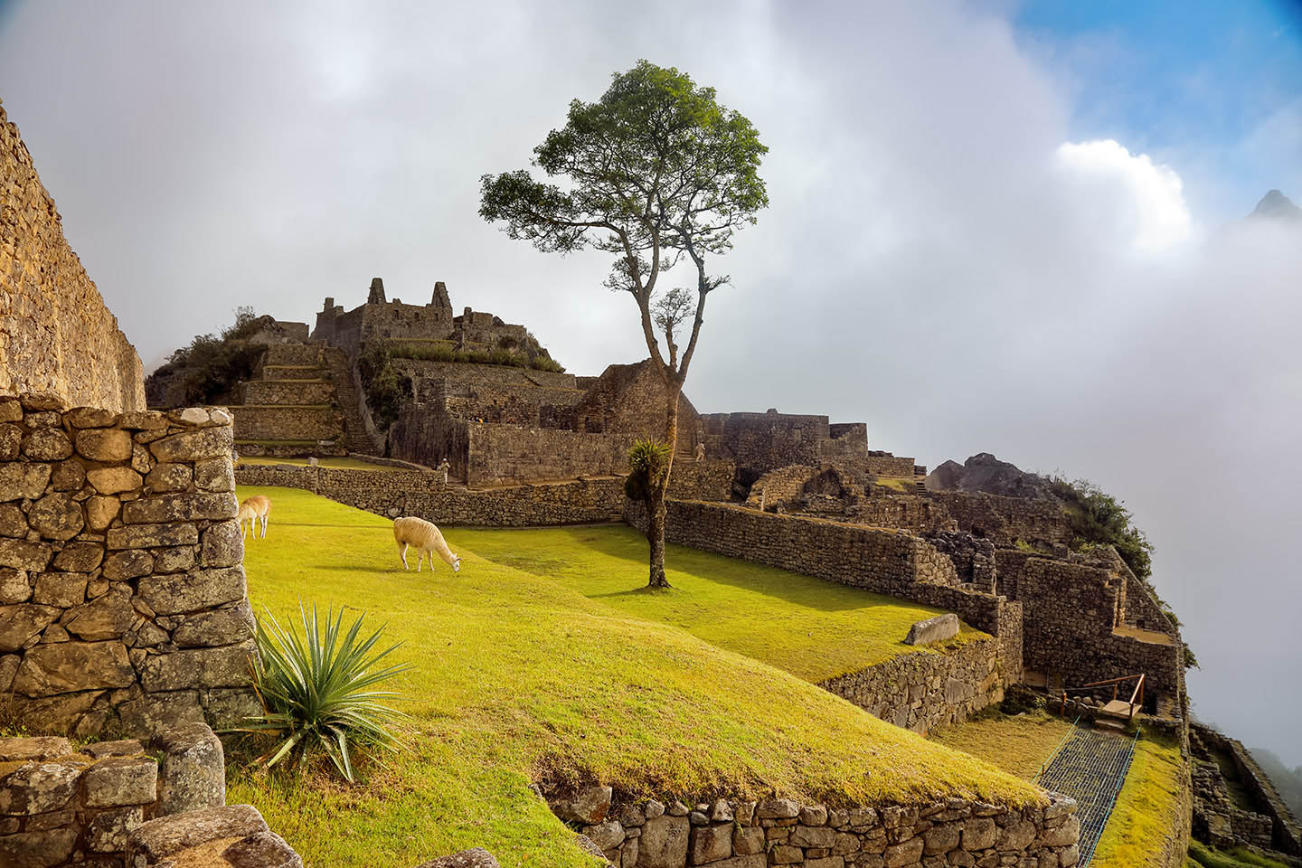 Machu Picchu da bir Sabah