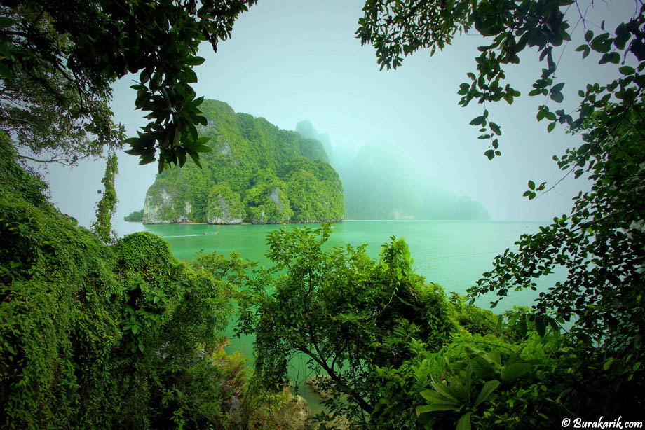 All Tones of Green