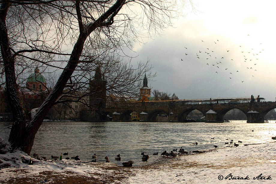 The River Vltava