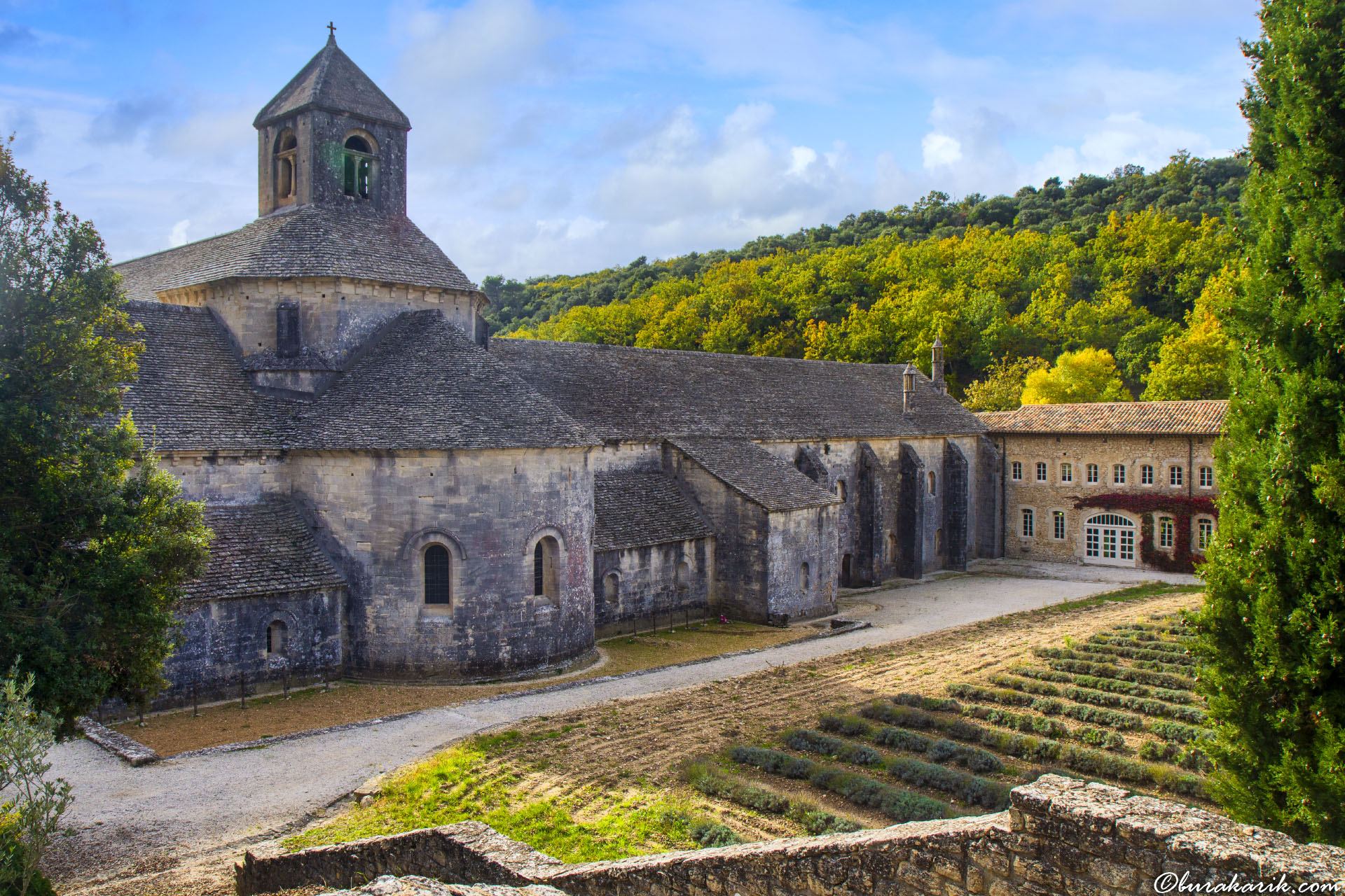 Abbaye Notre-Dame de Sénanque