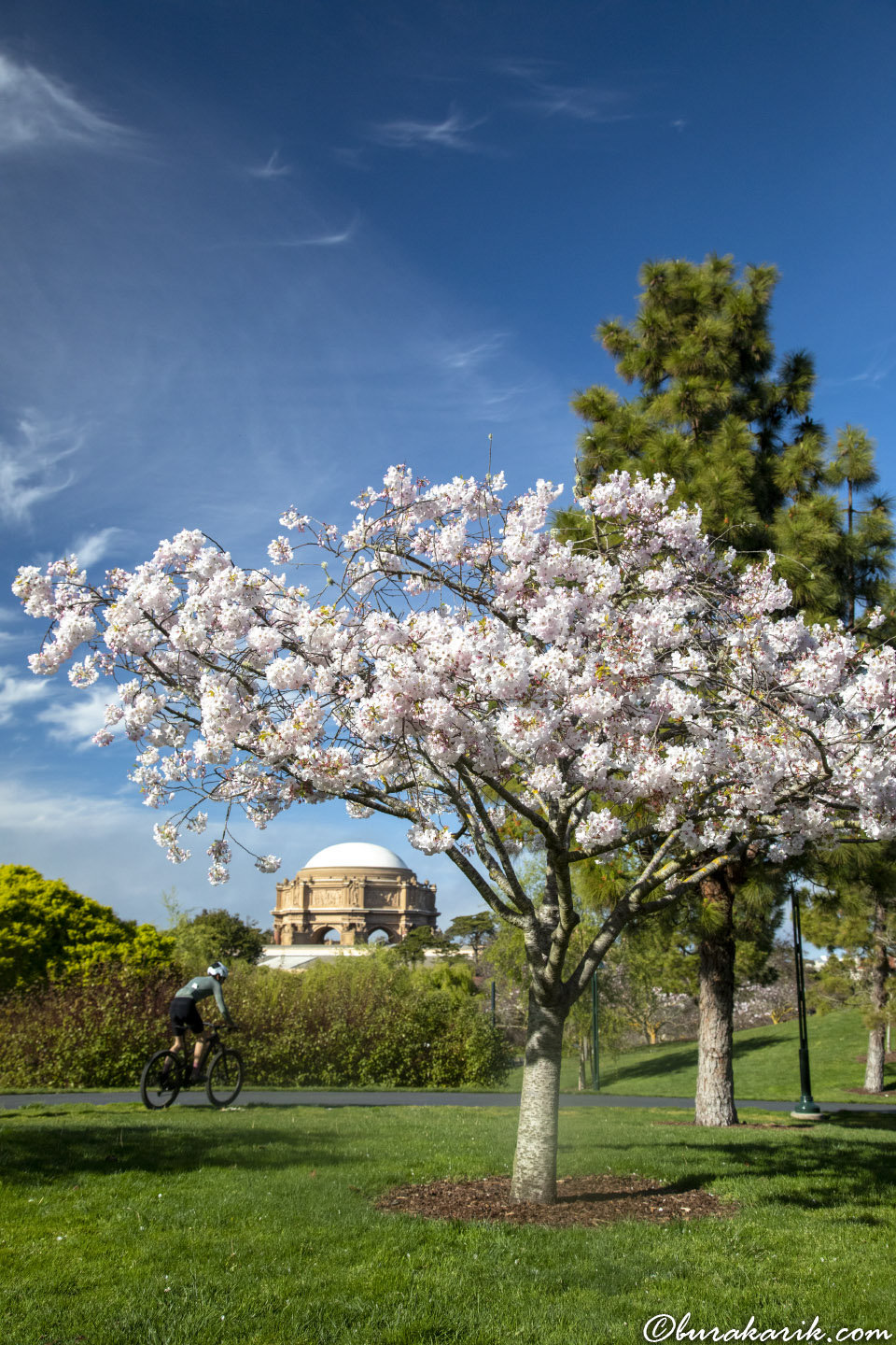 San Francisco'da Bahar