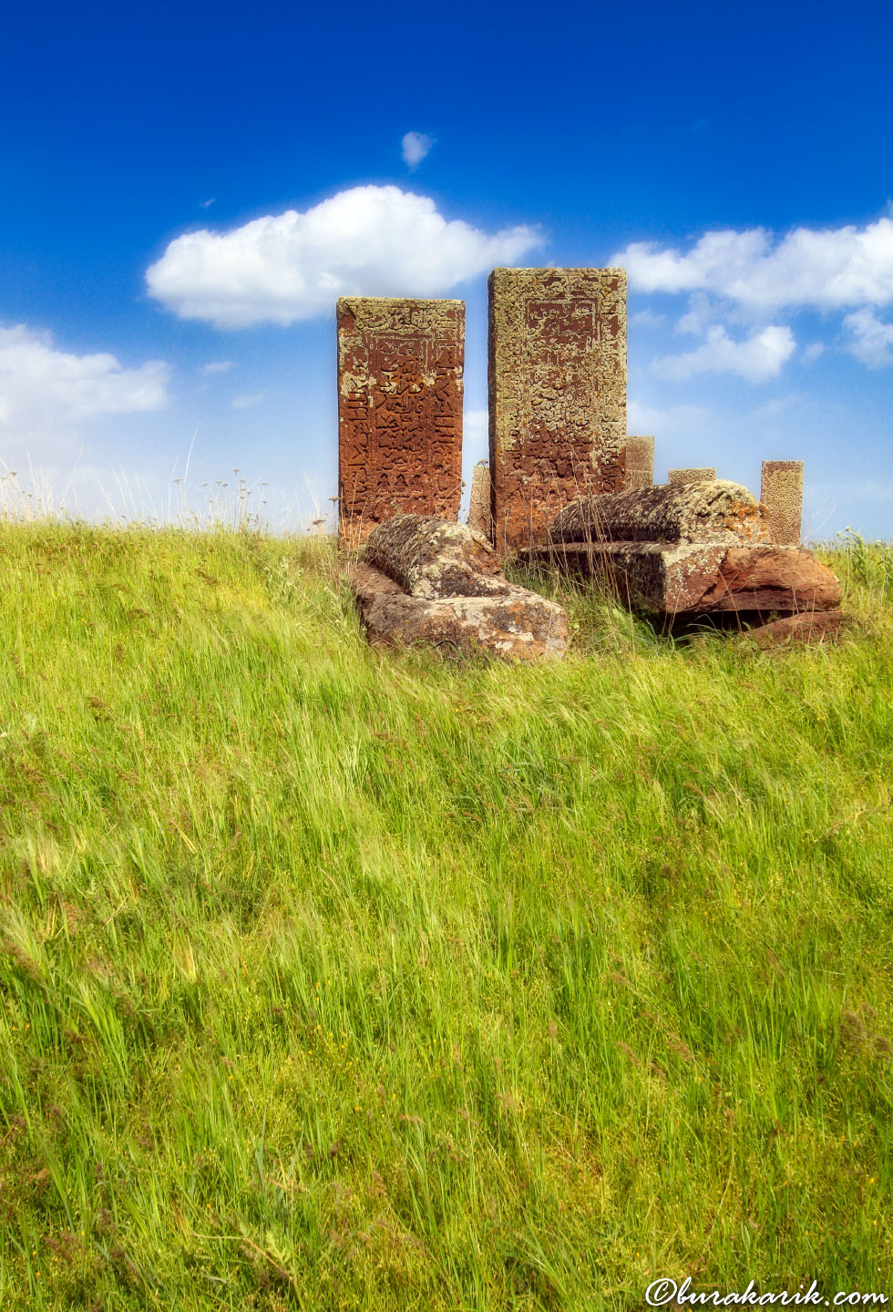 Selçuklu Mezarları, Ahlat