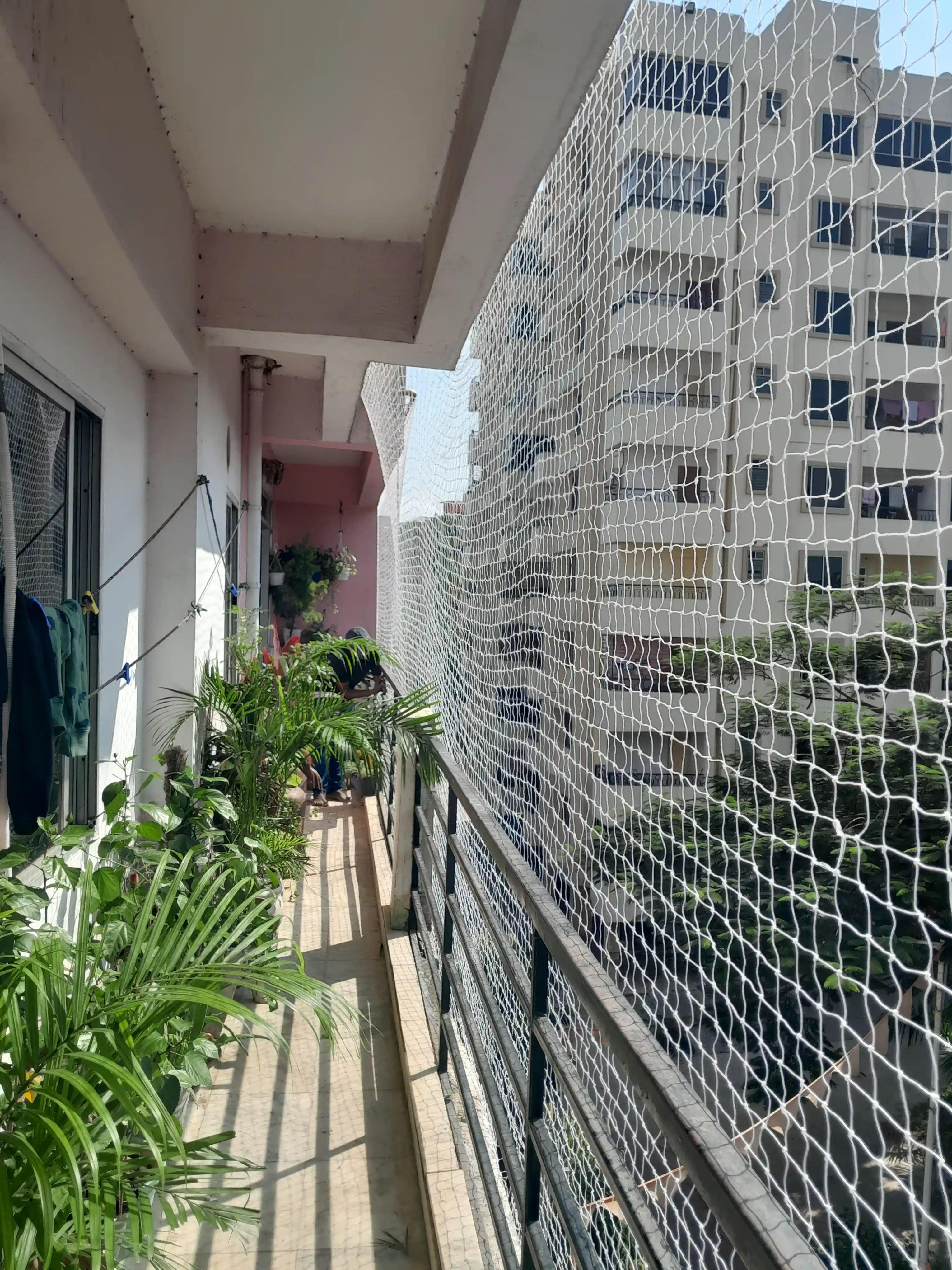 Low cost solution balcony cover from birds