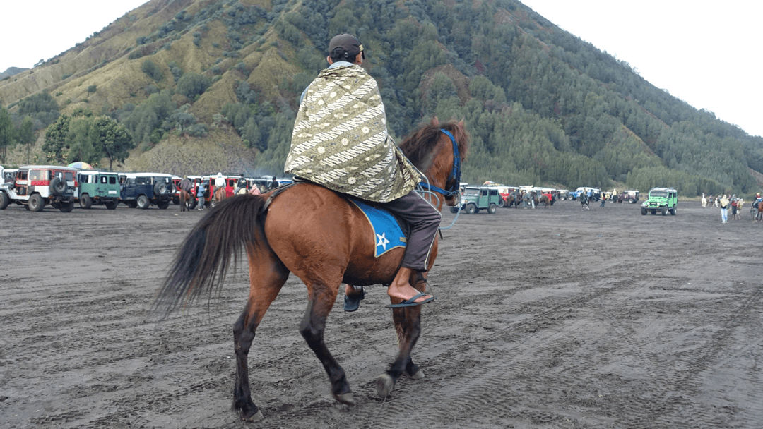 Cowboy in Bromo