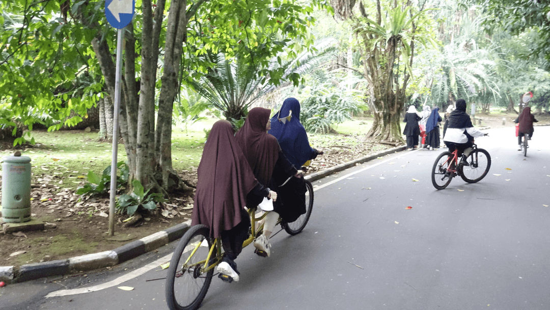 fiets-gebouwd-voor-twee