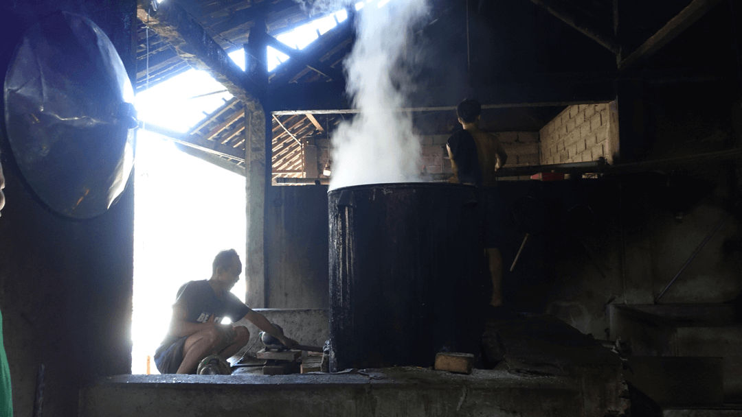 rook in Pangandaran