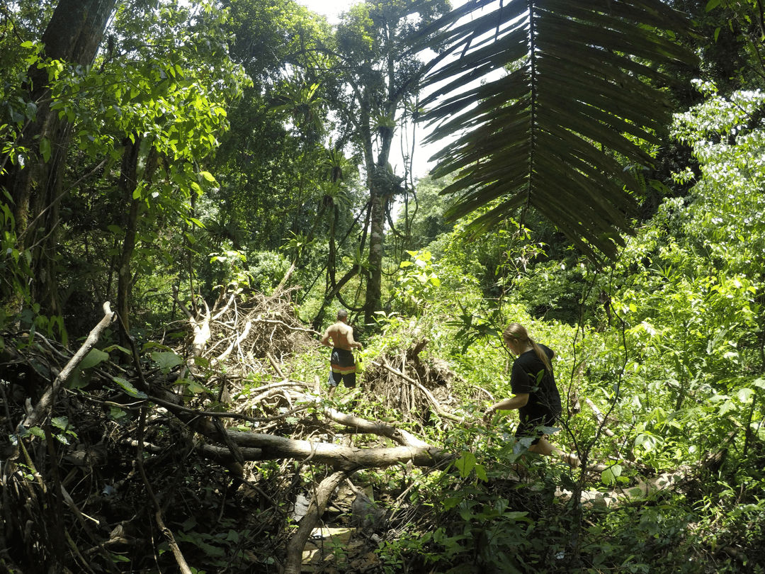 boom in Pangandaran