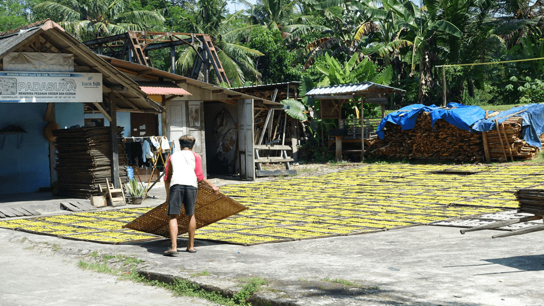 boom in Pangandaran