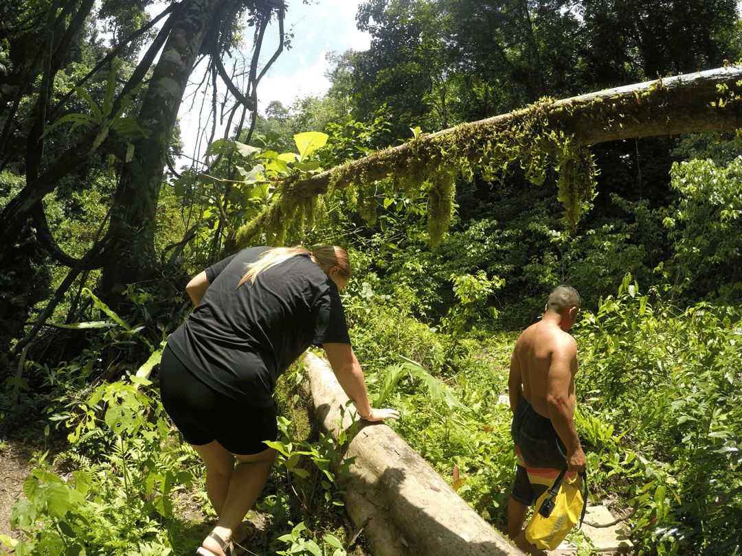 kettingzaag in Pangandaran