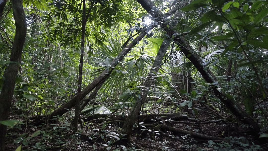 boom in Pangandaran