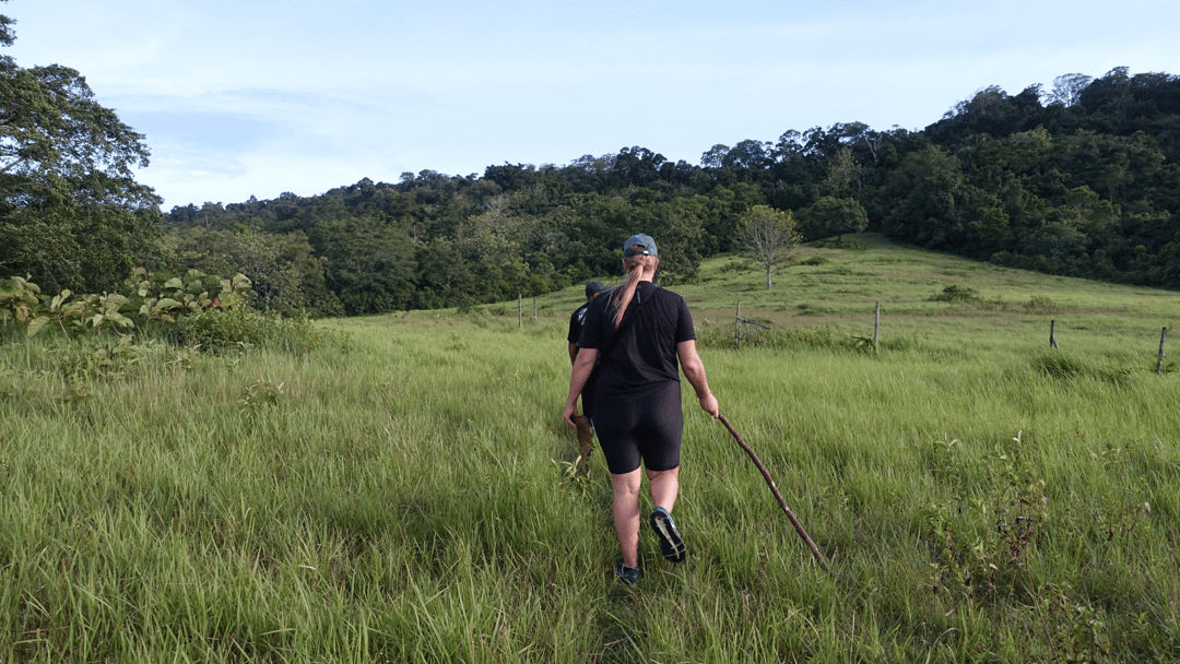 boer in Pangandaran