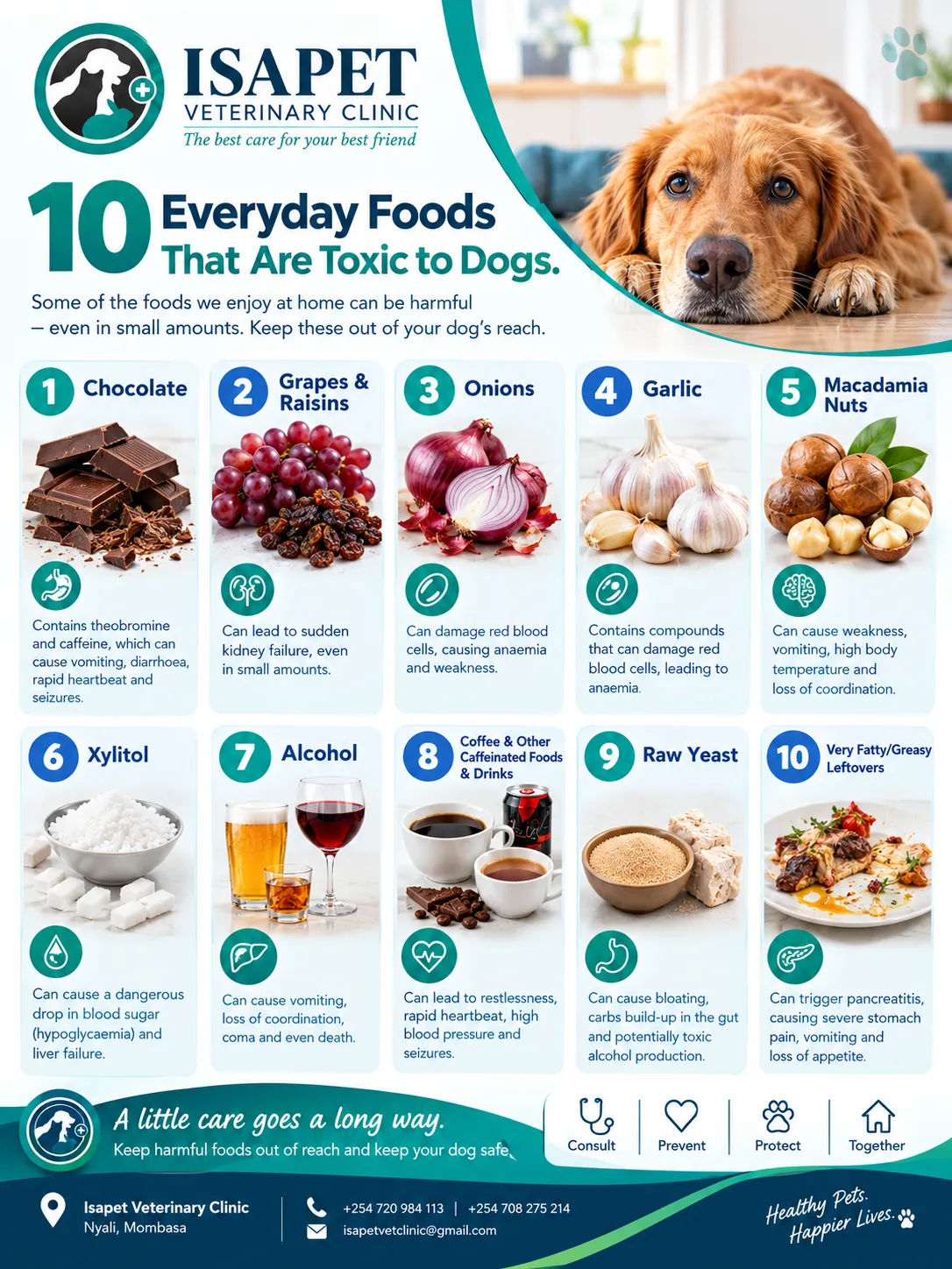 Shareable infographic of foods toxic to dogs