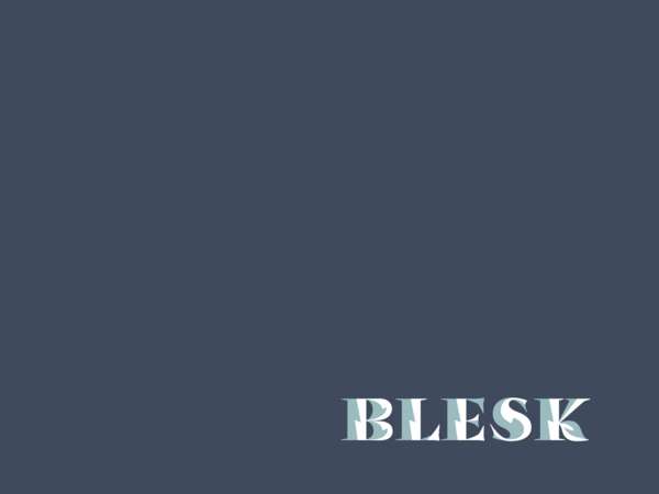 Blesk