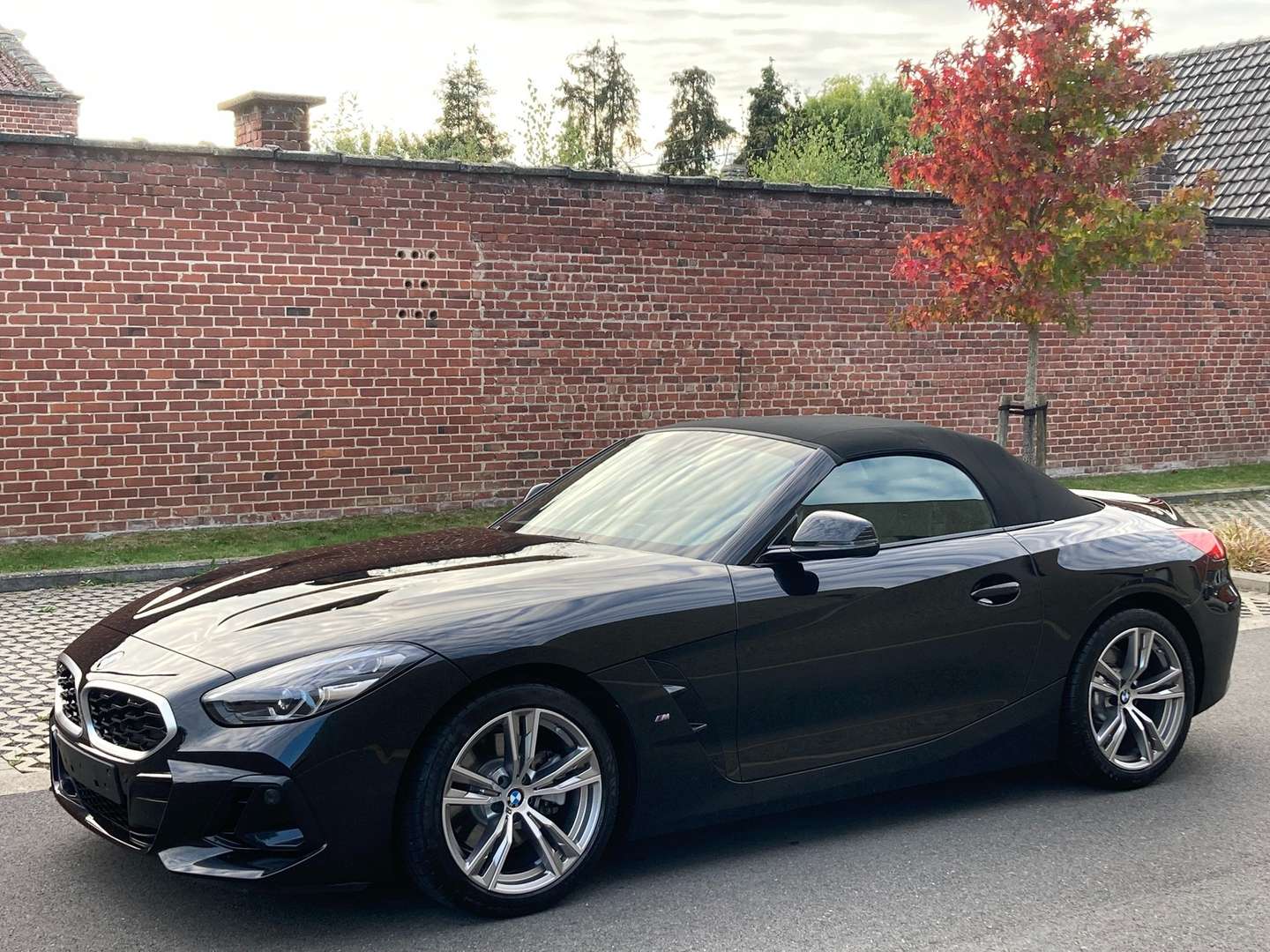BMW Z4 SDrive20i - 2024 - Joinsteer - #11