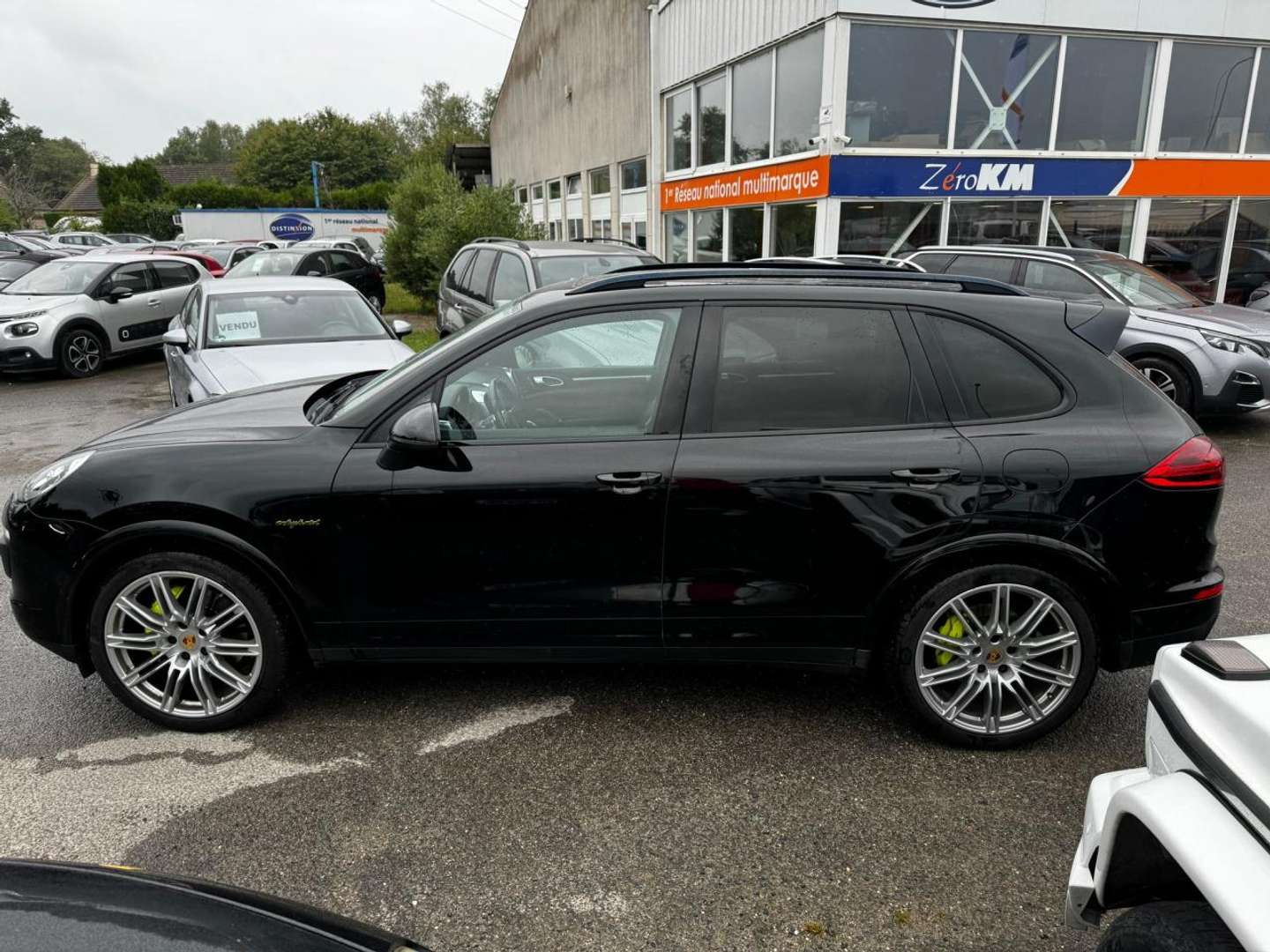 Porsche Testarossa GTS - 2017 - Joinsteer - #1