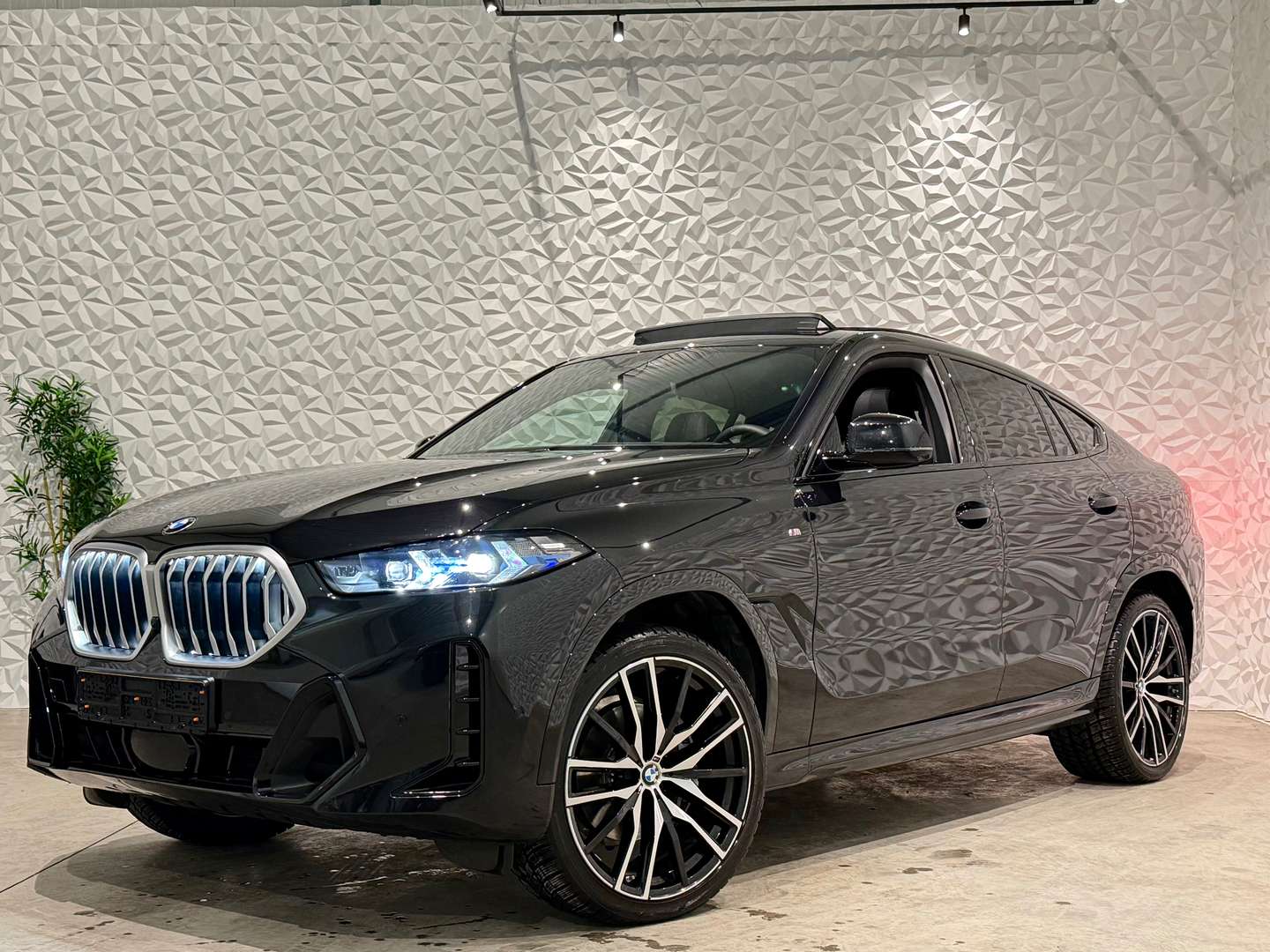 BMW X6 XDrive 3.0d - 2024 - Joinsteer - #3