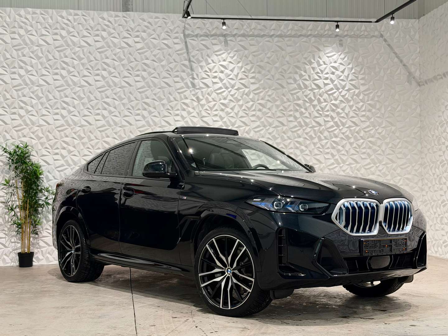 BMW X6 XDrive 3.0d - 2024 - Joinsteer - #6