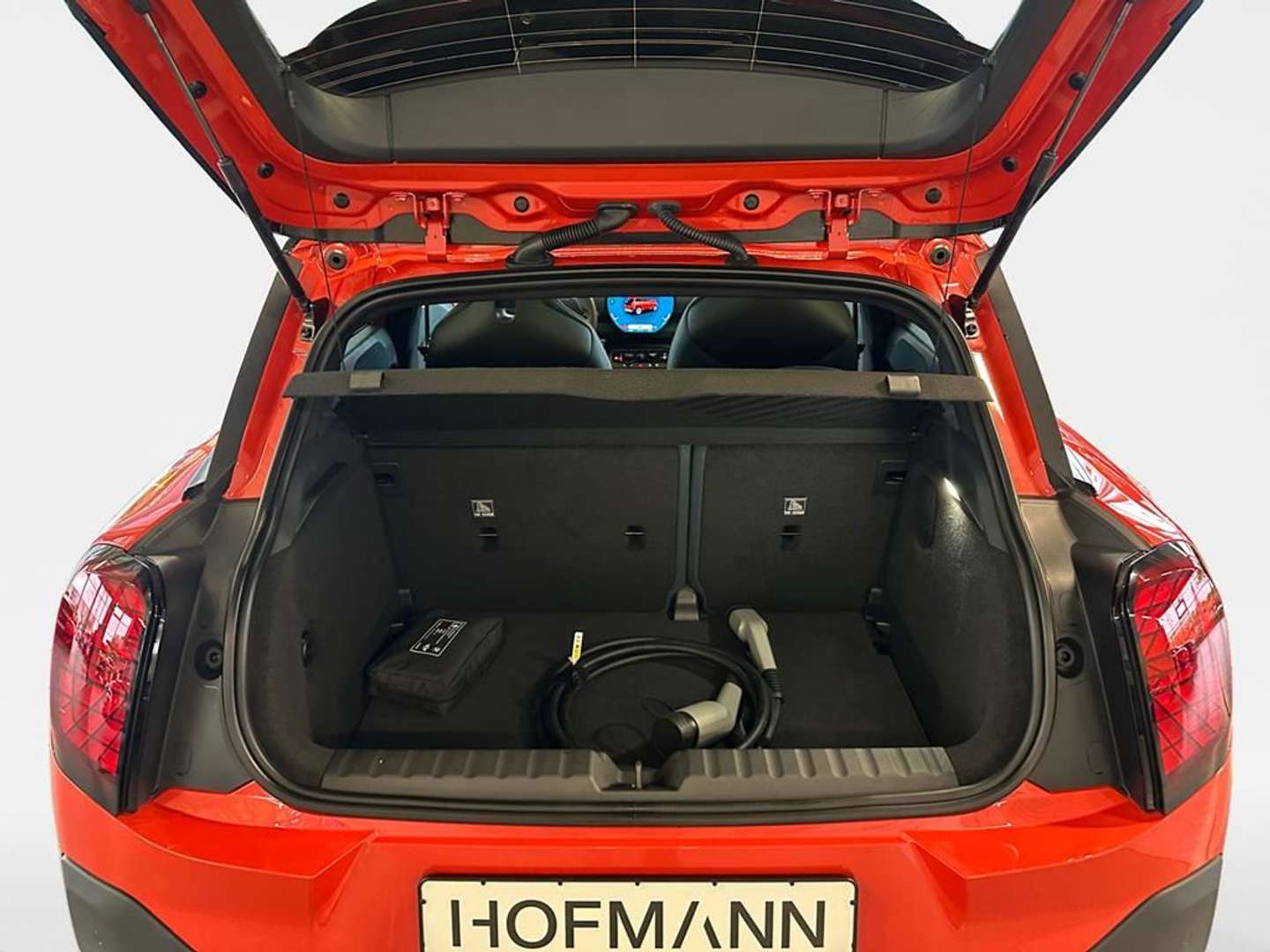 Mini Aceman Favoured Trim - 2024 - Joinsteer - #16