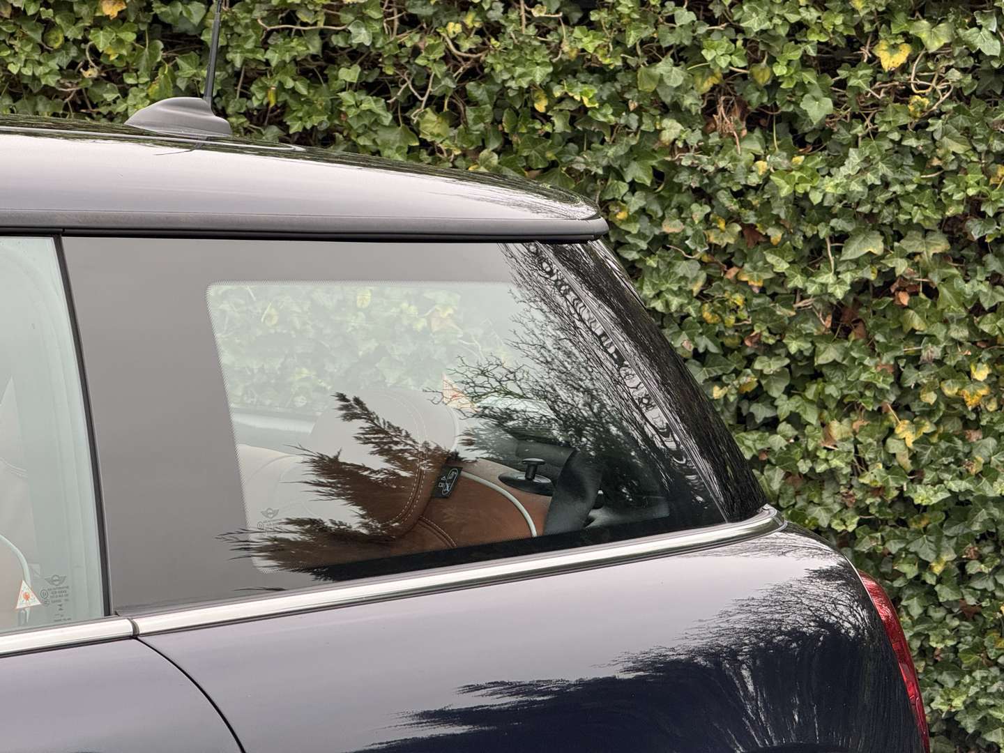 Mini Electric Camden Electric - 2023 - Joinsteer - #6