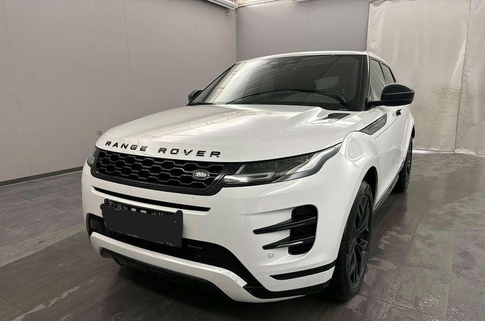 Land Rover Range Rover Evoque P300e R-Dynamic SE*Winter-Pak - 2022 - Joinsteer - #1