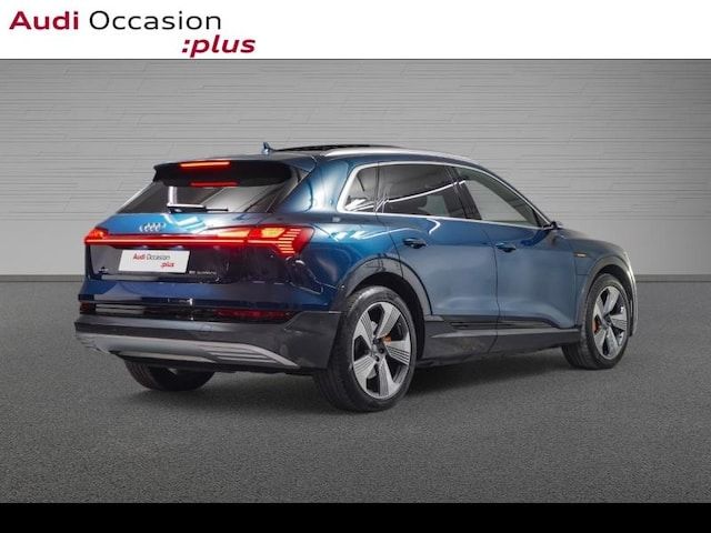Audi E-tron Avus Extended 55 Quattro 300,00 KW - 2019 - Joinsteer - #3