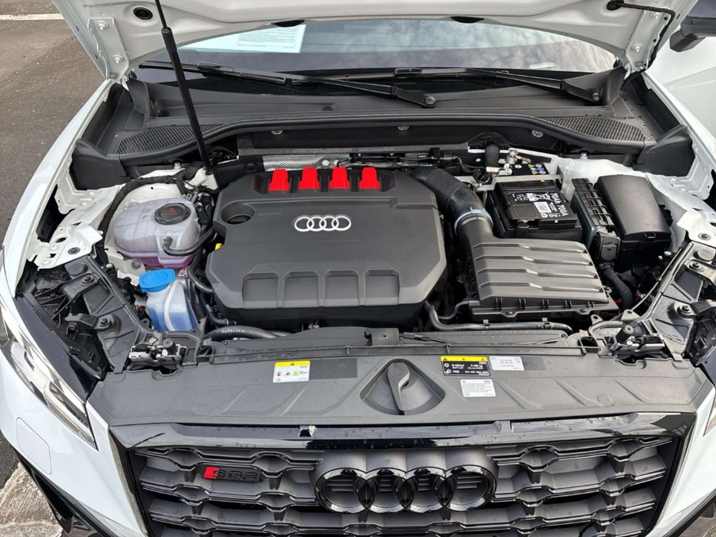 Audi SQ2 TFSI - 2025 - Joinsteer - #15