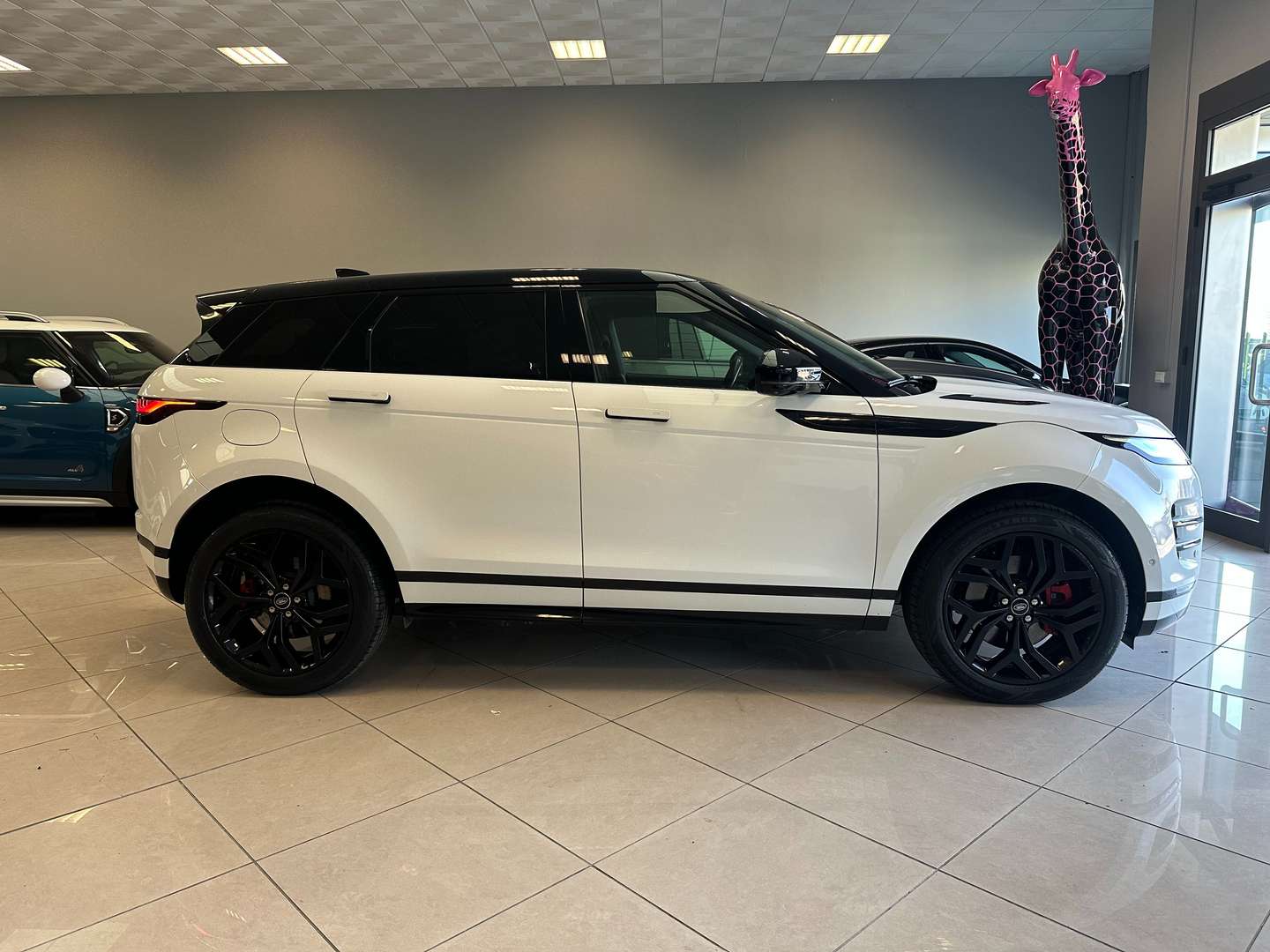 Land Rover Range Rover Evoque 1.5 I3 Phev 300CV R-Dynamic HSE Awd - 2021 - Joinsteer - #4