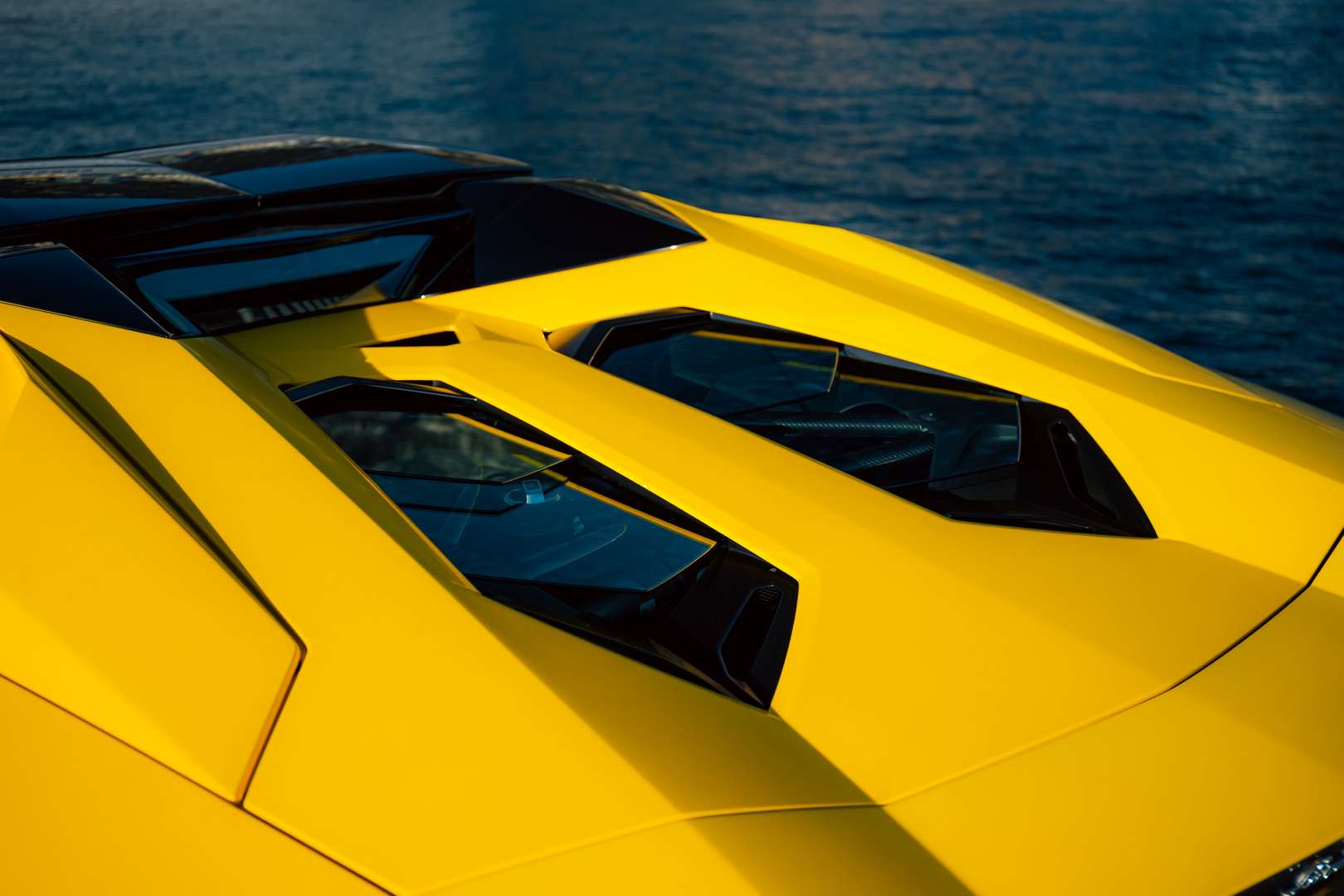 Lamborghini Aventador Roadster - 2019 - Joinsteer - #18