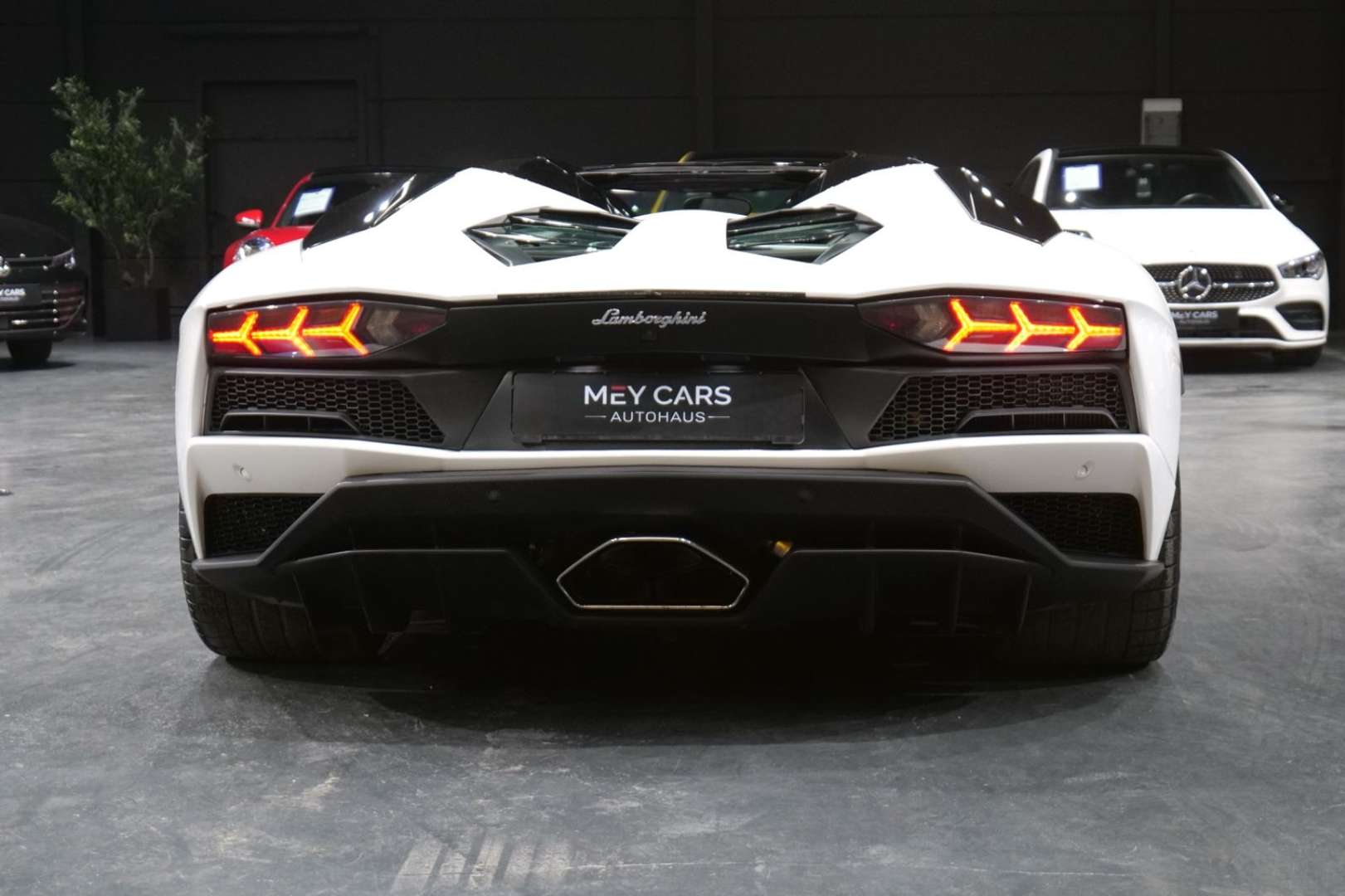 Lamborghini Aventador Roadster - 2018 - Joinsteer - #15