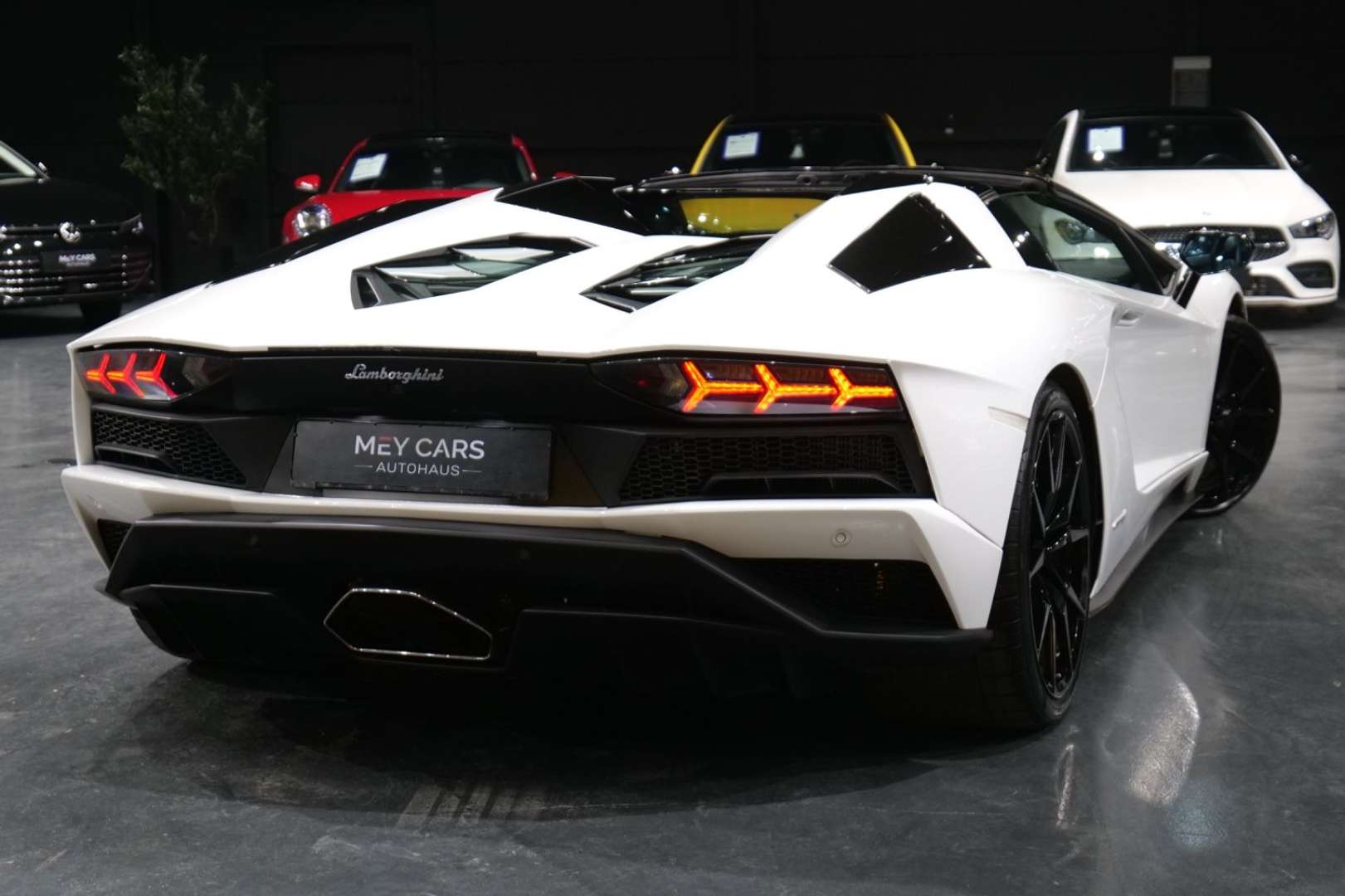 Lamborghini Aventador Roadster - 2018 - Joinsteer - #18