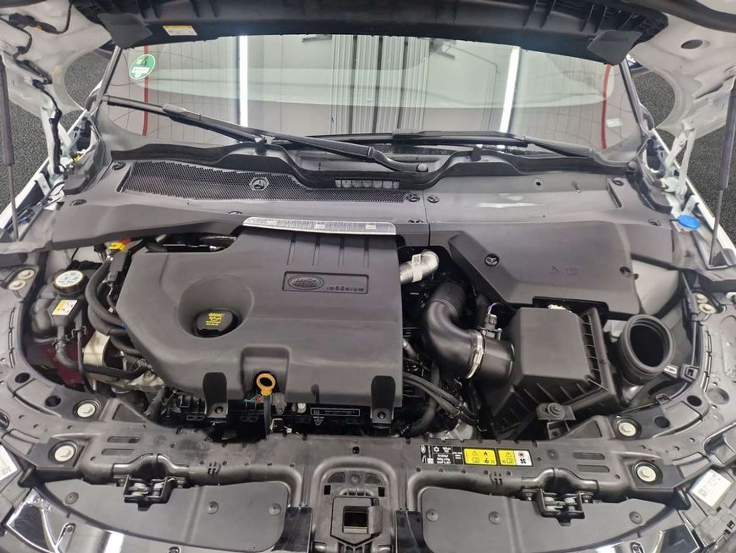 Land Rover Range Rover Evoque D200 Dynamic SE 150 KW - 2025 - Joinsteer - #12