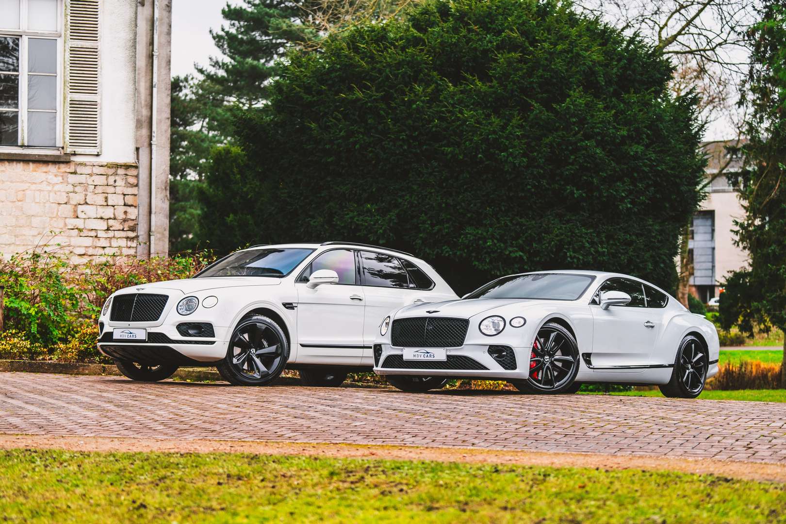 Bentley Continental GT W12 - 2019 - Joinsteer - #12