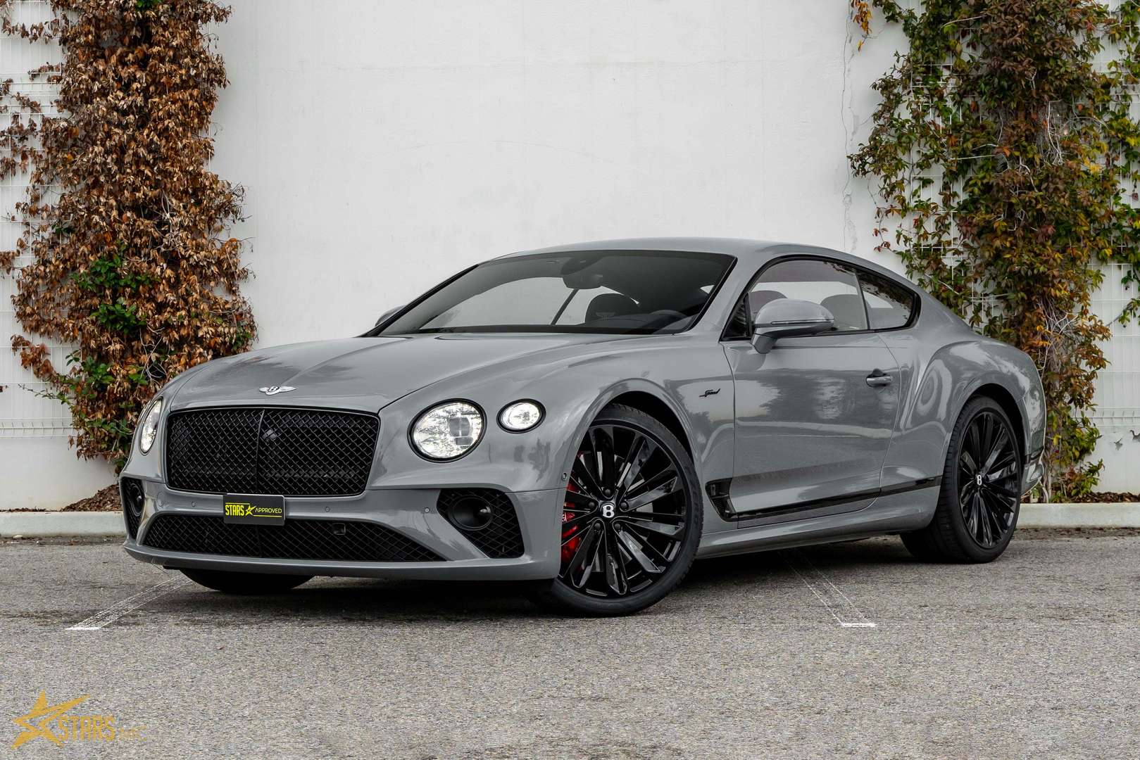 Bentley Continental GT W12 Speed - 2024 - Joinsteer - #3