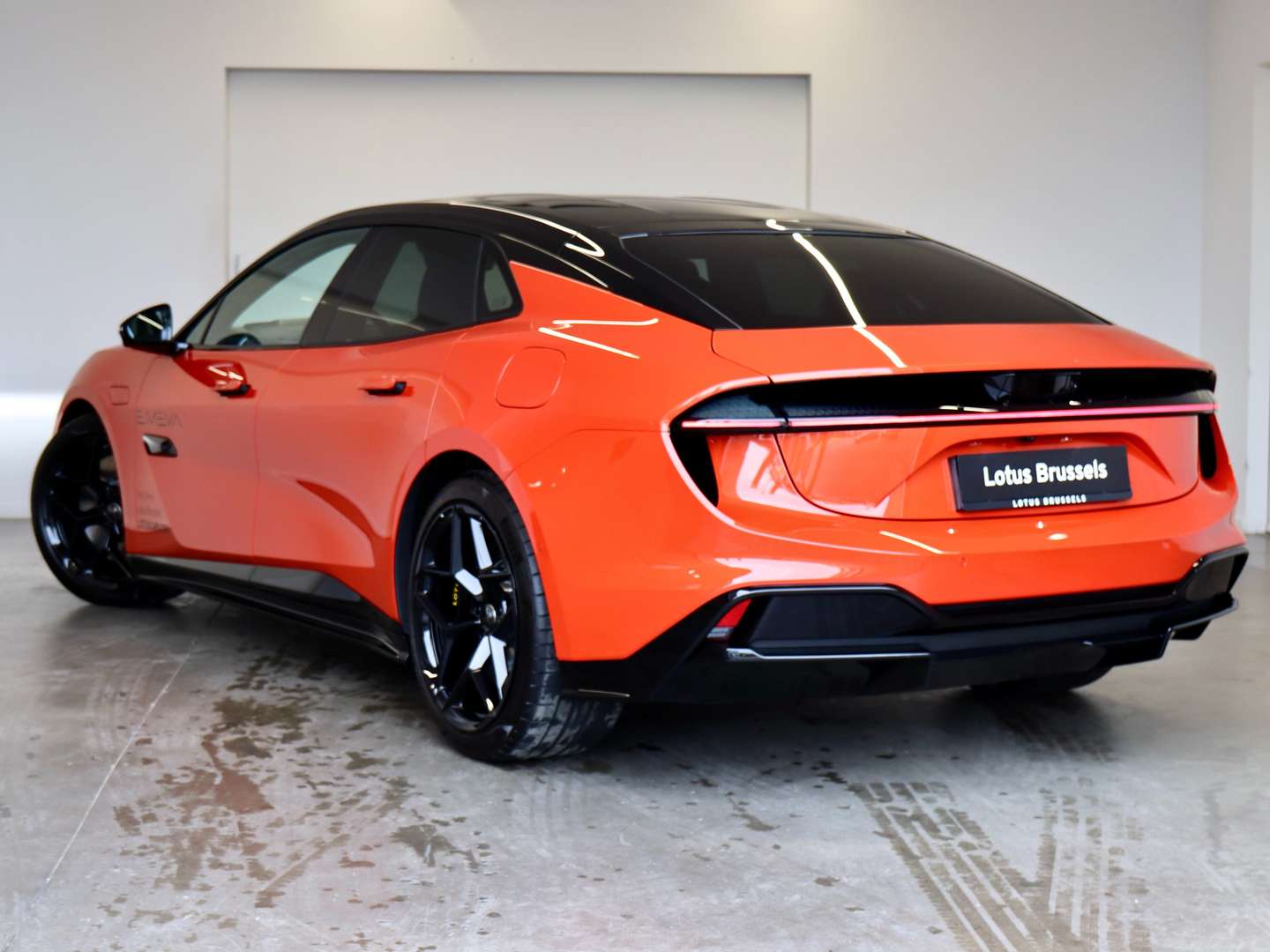 Lotus Emeya - 2024 - Joinsteer - #9