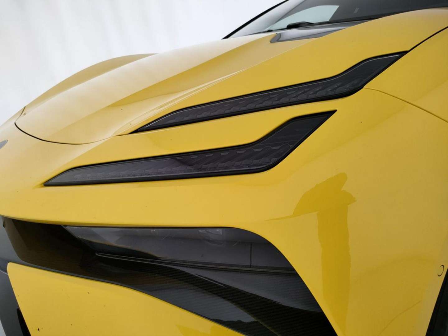 Lotus Emeya - 2024 - Joinsteer - #8