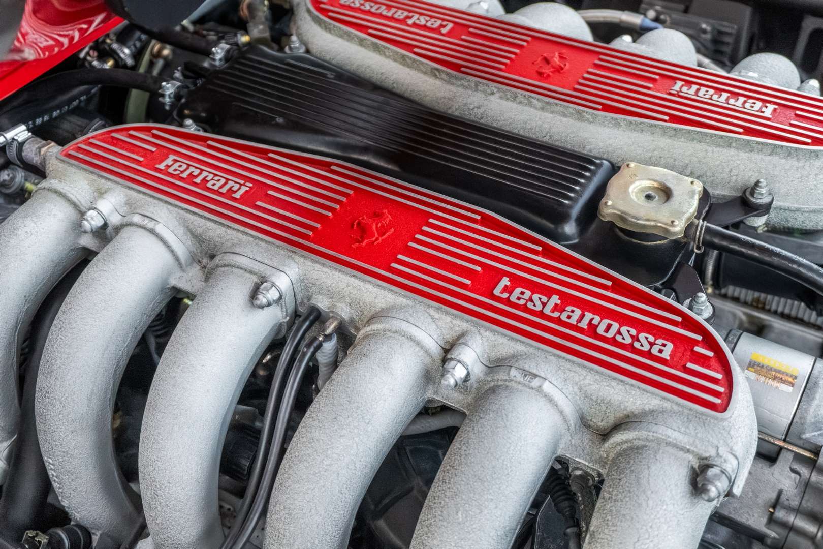 Ferrari F512 M - 1996 - Joinsteer - #49